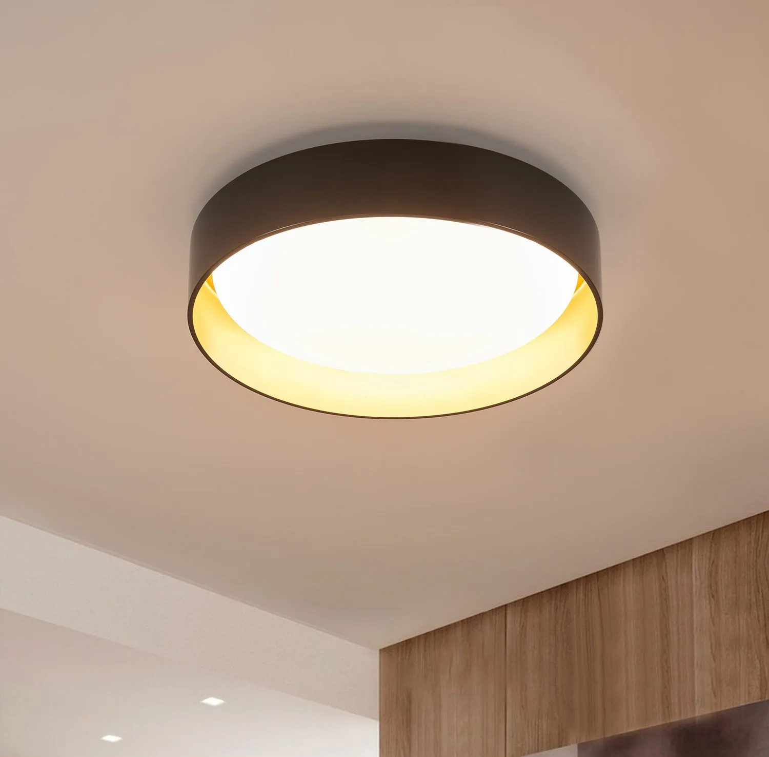 1-Light Acrylic Simple LED Flush Mount Lighting