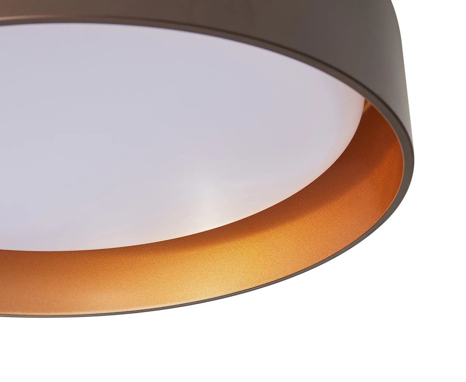 1-Light Acrylic Simple LED Flush Mount Lighting