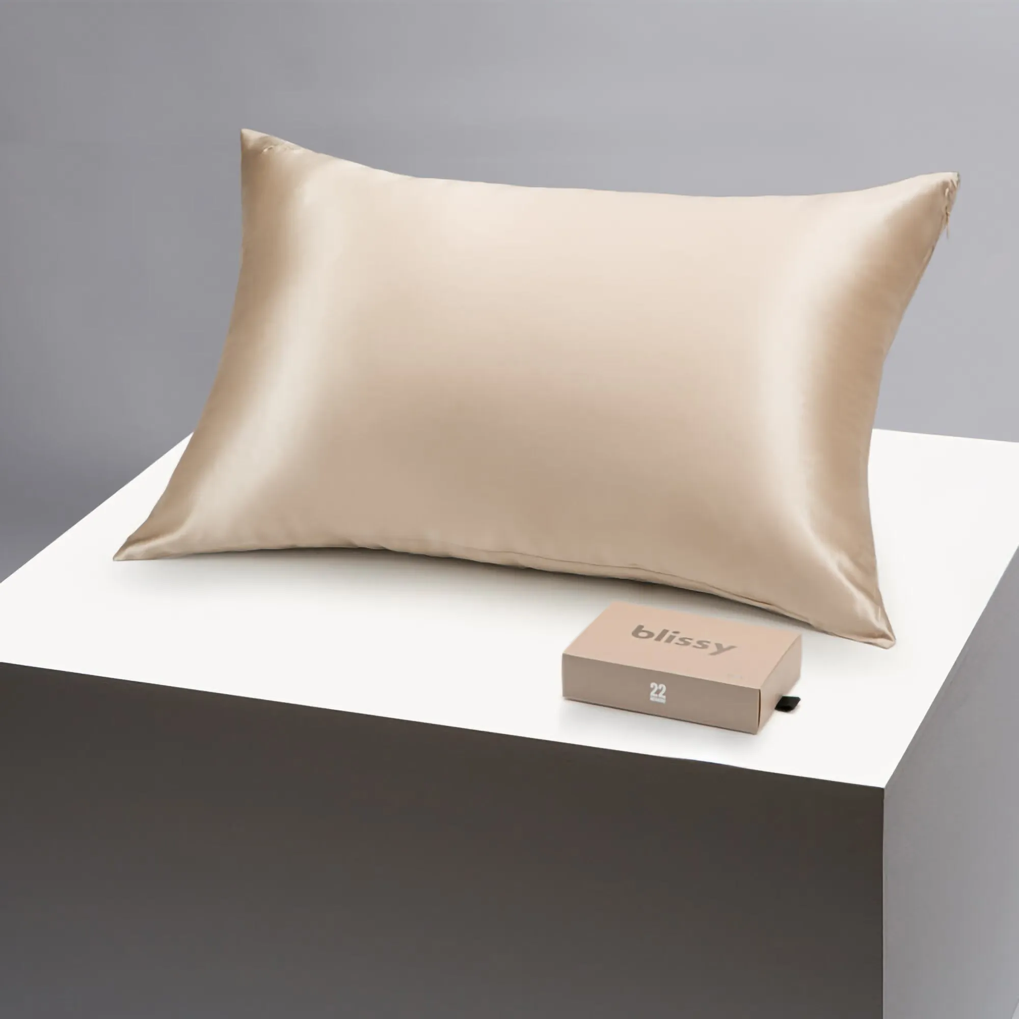 Blissy Silk Pillowcase Champagne Standard