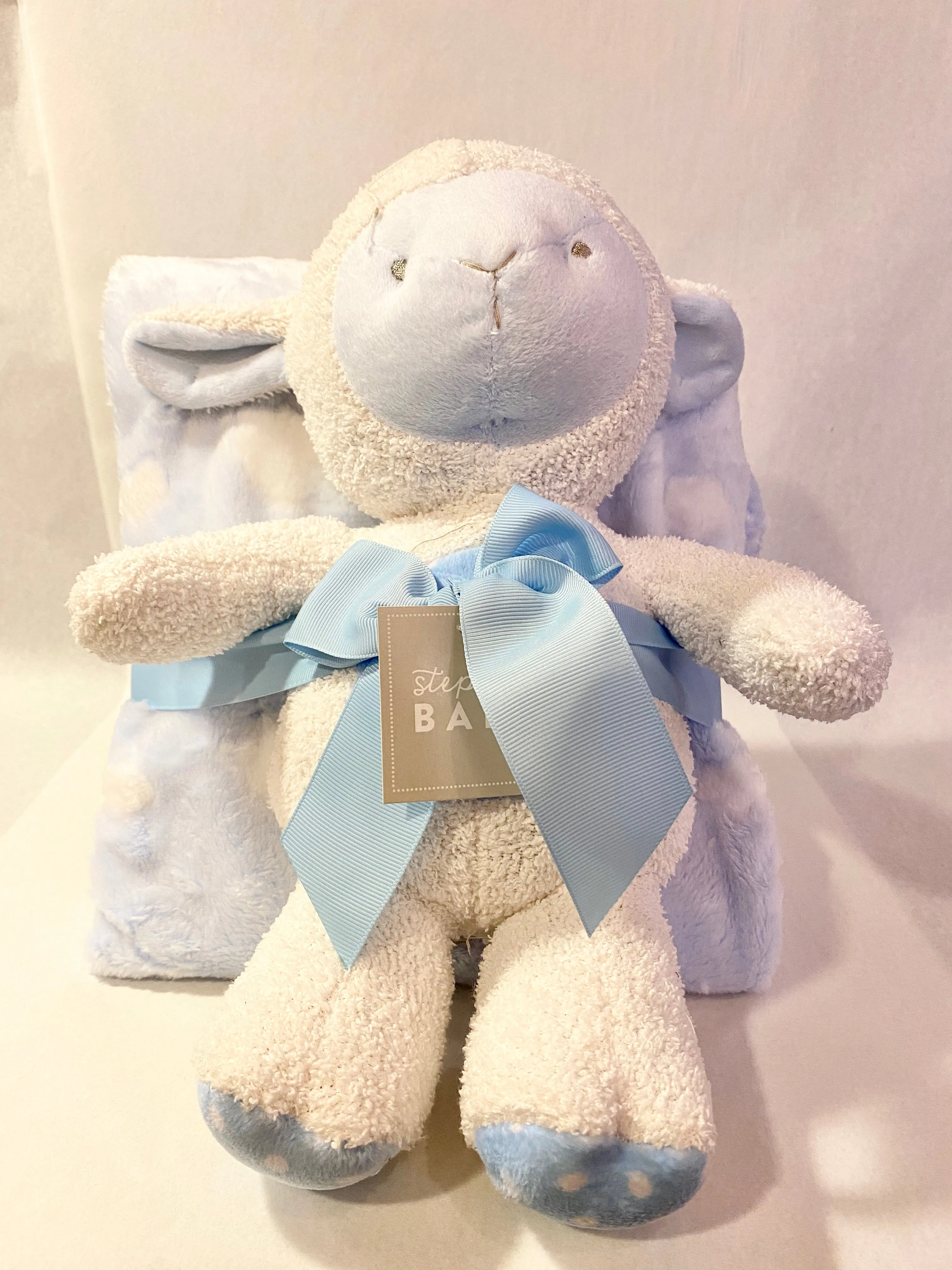 Blue Lamb Blanket & Plush Set