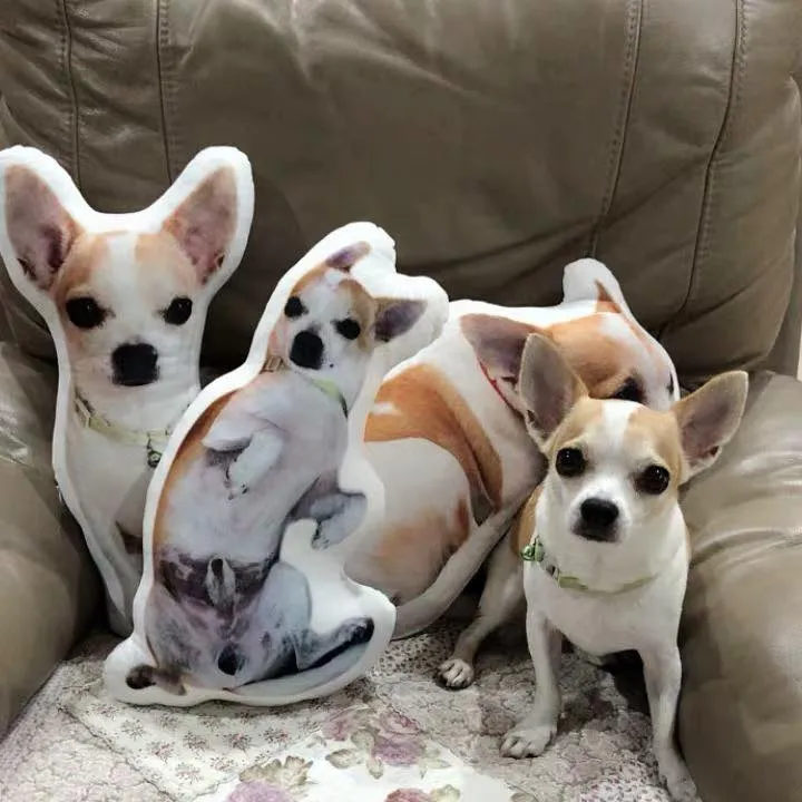 Clone a Pet into a Pillow