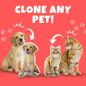 Clone a Pet into a Pillow