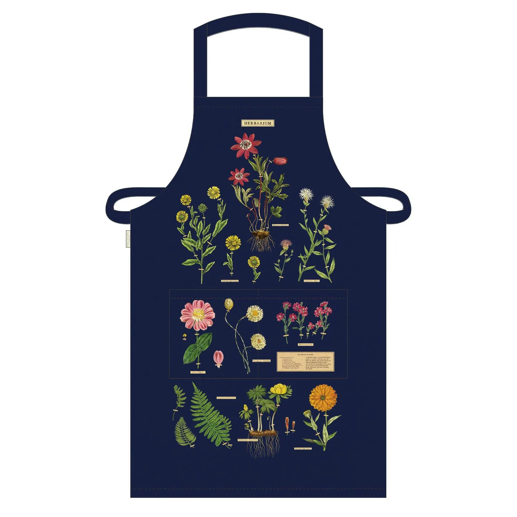 Herbarium Apron