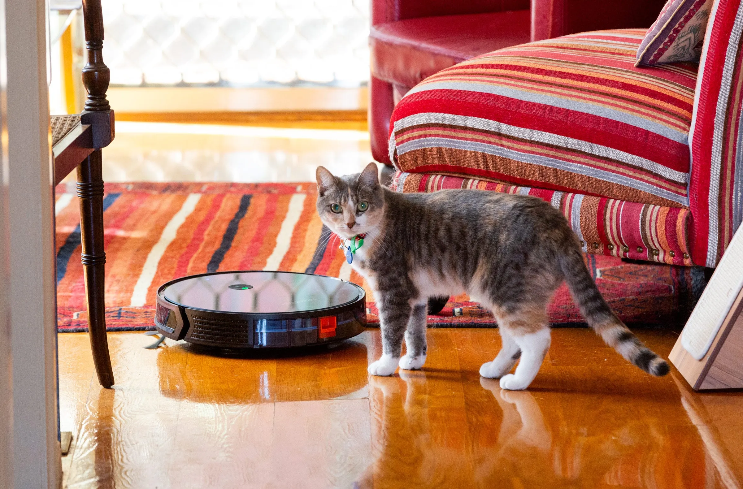 Magivaac Smart Robot Vacuum & Mop w/ Pet Brush