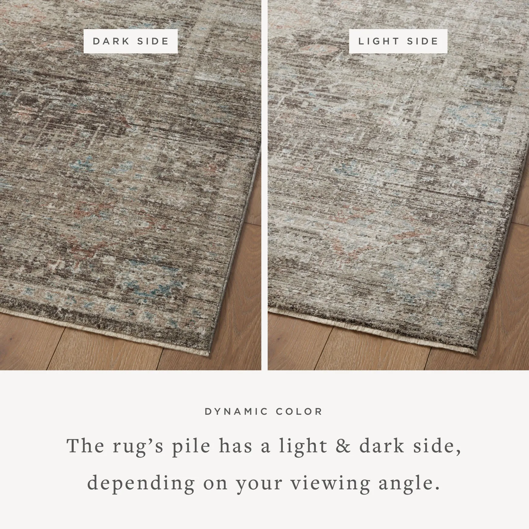 Magnolia Home x Loloi Millie Rug - Charcoal Dove