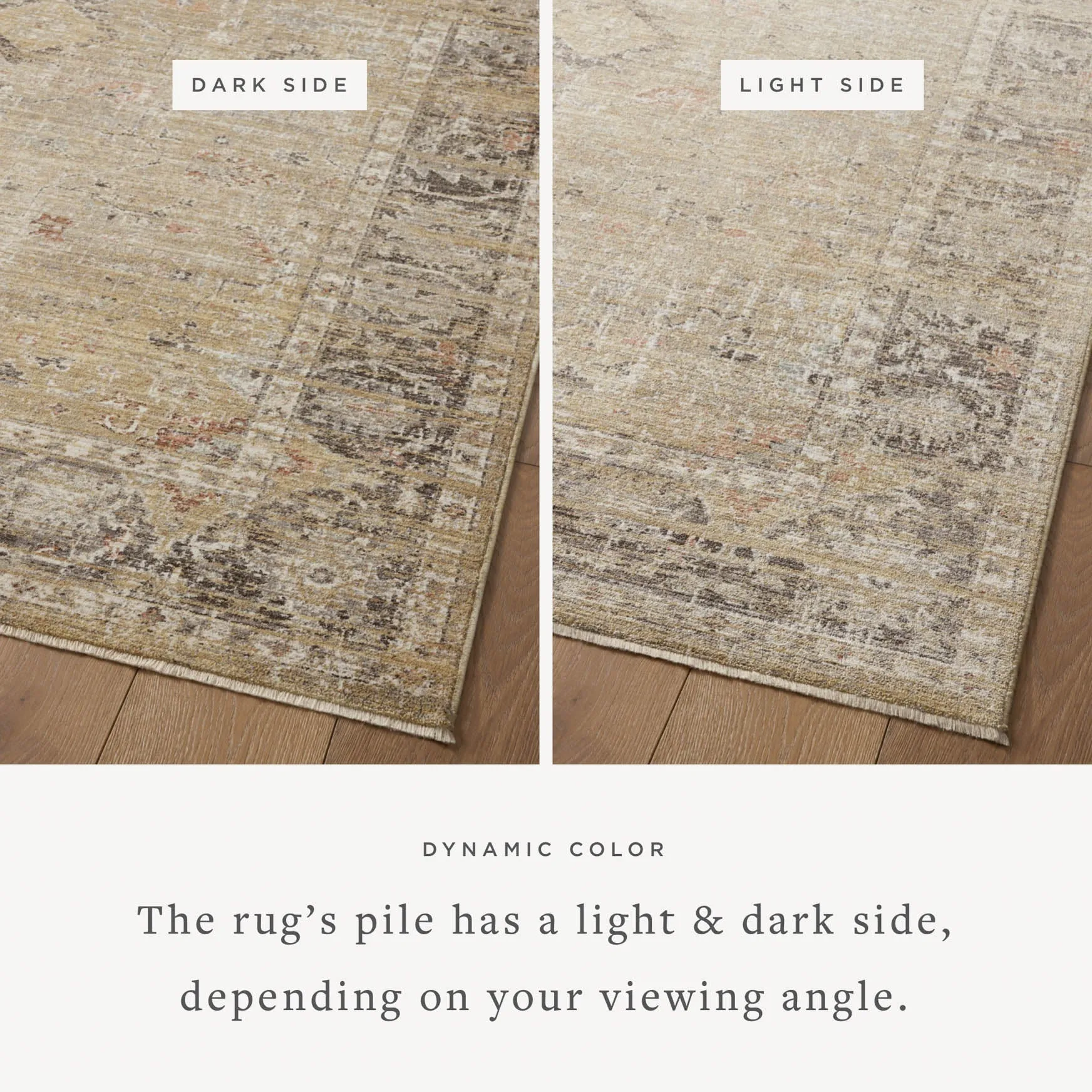 Magnolia Home x Loloi Millie Rug - Gold Charcoal