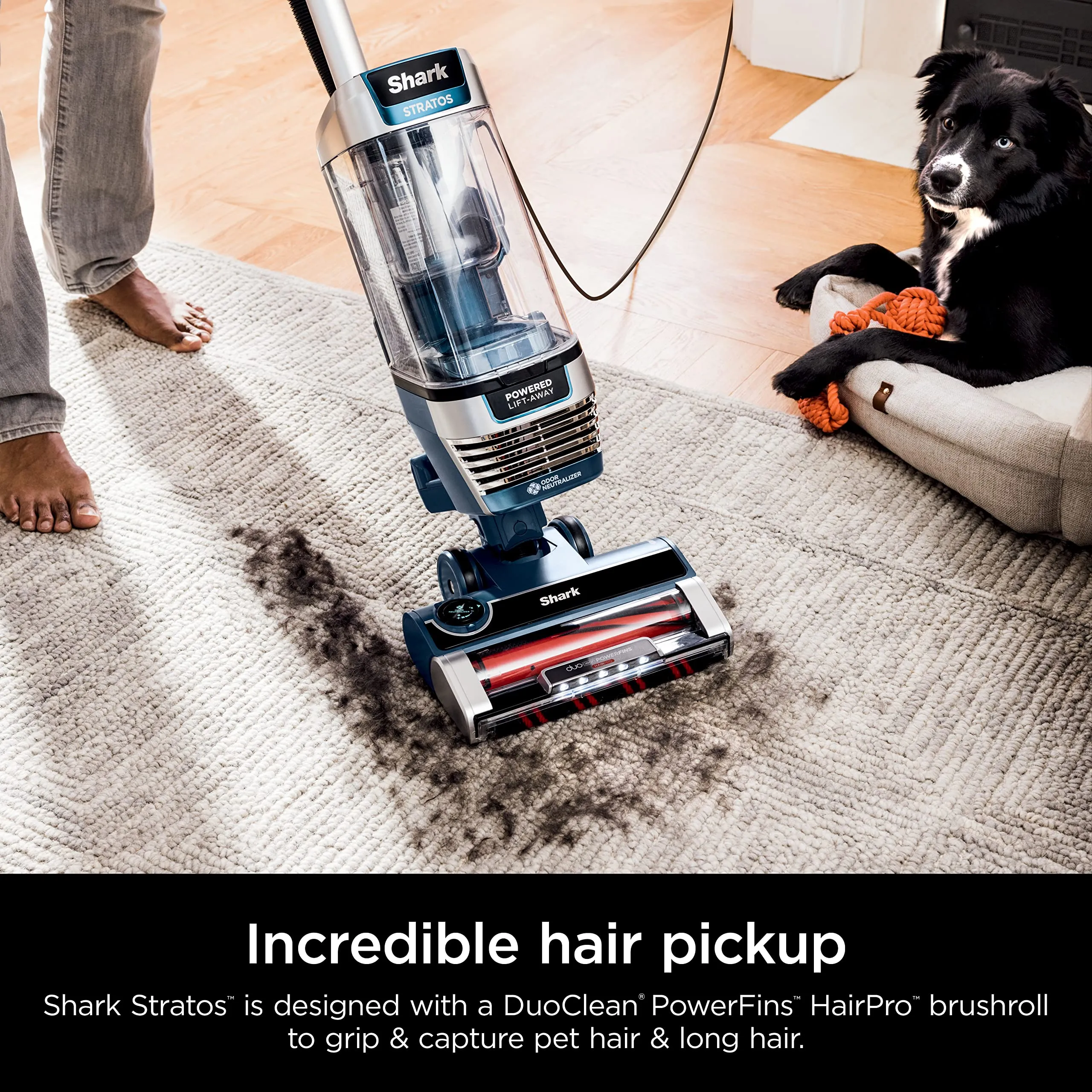 Shark Upright Vacuum, Stratos with DuoClean PowerFins, HairPro, Powered Lift-Away, Self-Cleaning Brushroll, & Odor Neutralizer Technology, Navy, AZ3002