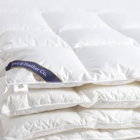 Snuggle Soft 800 Year-Round Down Comforter - King (105" x 90")